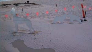 Mirror dogs at Cottesloe Sculpture by the sea 2014