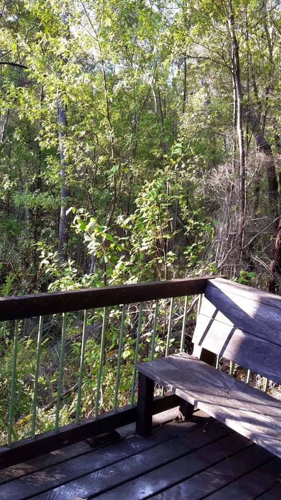 Corner seat in Bedulla Forrest near the waterfall