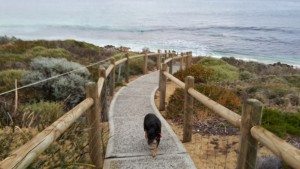  Cindy leading on the path to dinner time