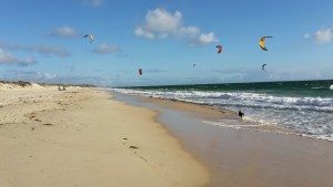 Kitesurfers with Cindy chasing