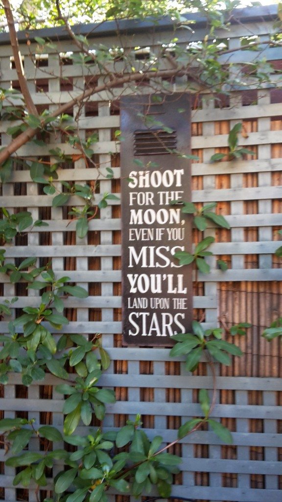 Shoot for the moon