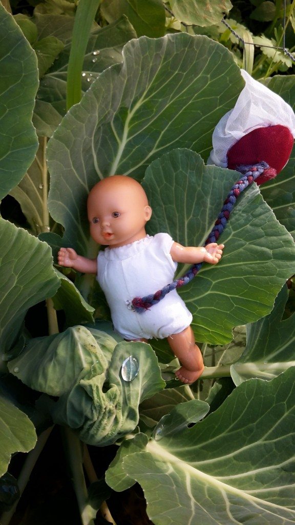 Cabbage-patch